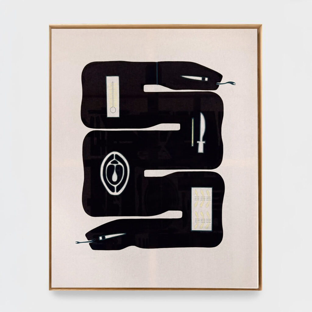 Depinge mihi ovem II (ex latin: Svp, dessine moi un mouton), 2025, ink and pigments on canvas, 134 x 164 x 6 cm